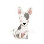 Bull Terrier
