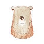 Grizzly Bear